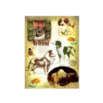HÂRTIE DE OREZ CADENCE DECOUPAGE A4 - 037
