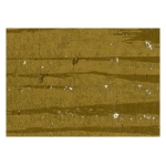 MUNGYO ULEI PASTEL METALIZAT AURIU MOP 341