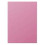 HÂRTIE CLAIREFONTAINE A4 120 G - HORTENSIE ROZ