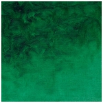 W&N ULEI STICK 50 ML - WINSOR GREEN