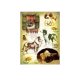 HÂRTIE DE OREZ CADENCE DECOUPAGE A3 - 037