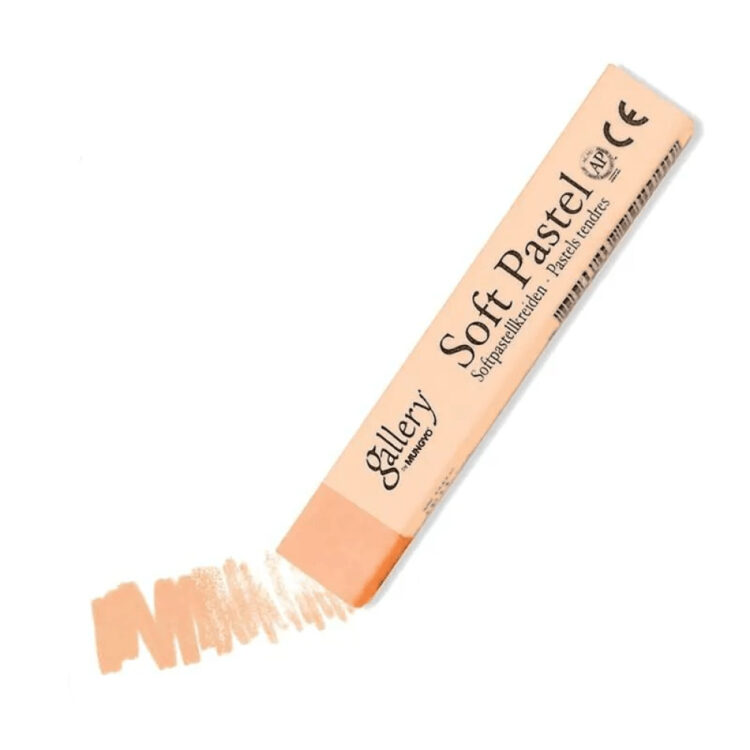 333005 MUNGYO DRY PASTEL FLESH MEDIUM MPV 005 - Imagine 1