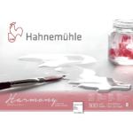 CAIET DE SCHIȚE HAHNEMUHLE HARMONY 21/29,7 CM, 300 G, 12 L.