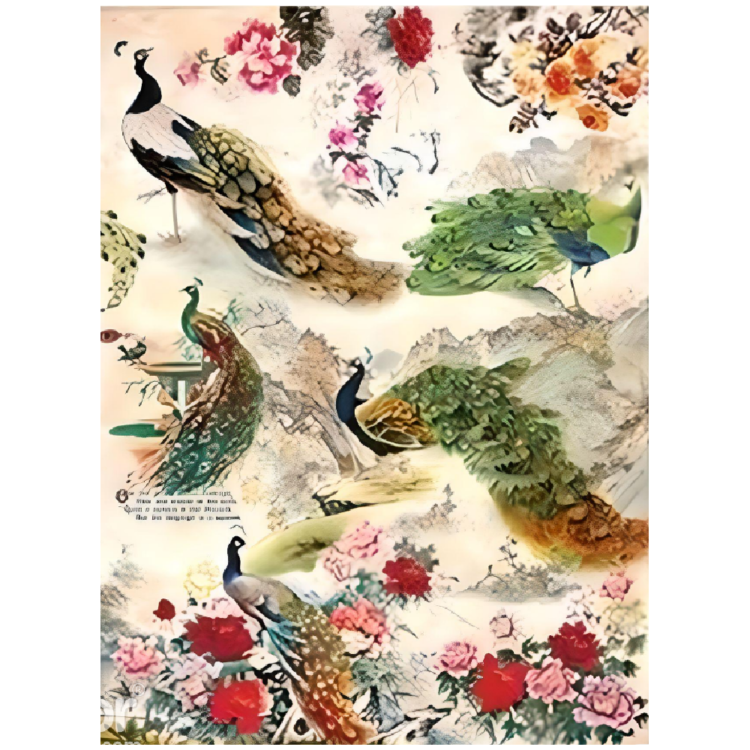 94 HÂRTIE DE OREZ CADENCE DECOUPAGE A4 - 194 - Imagine 1