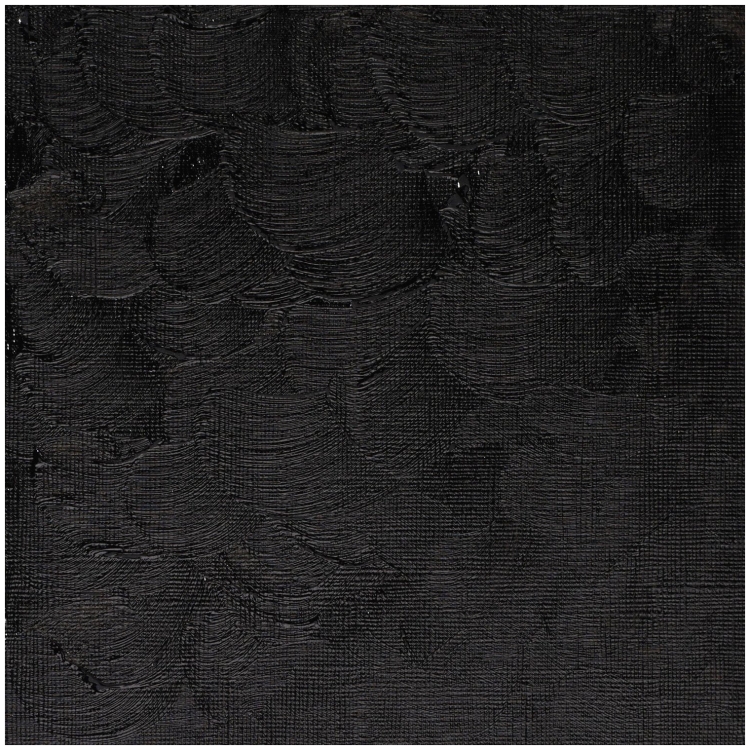 CU VOPSEA ÎN ULEI WINTON 37 ML. - LANDEȘ NEGRU - Imagine 4