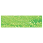 CARAN D'ACHE PASTELURI ÎN ULEI NEOPASTEL VERDE PRIMĂVARĂ