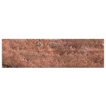 CARAN D'ACHE PASTELURI ÎN ULEI NEOPASTEL BRONZ