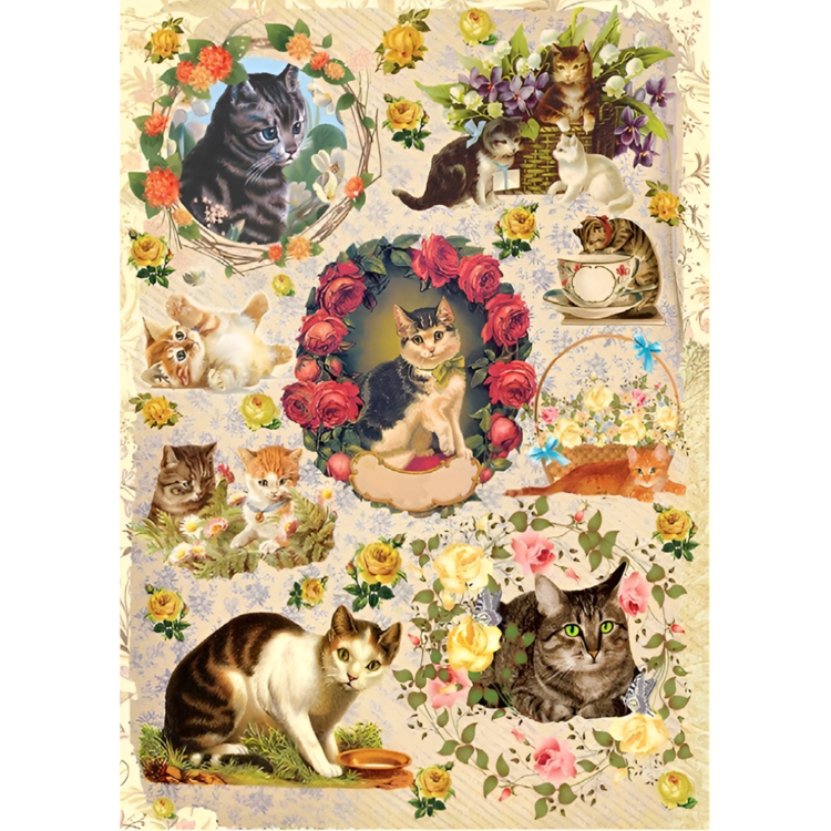 A4 – 280.jpg HÂRTIE DE OREZ CADENCE DECOUPAGE A4 - 280 - Imagine 1