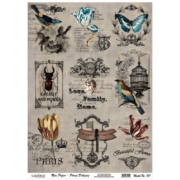 HÂRTIE DE OREZ CADENCE DECOUPAGE A4 - 217