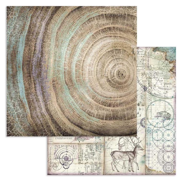 SBB616 STAMPERIA COSMOS DESIGNER CARTON 31.5/30.5 CM - SBB616 - Imagine 1