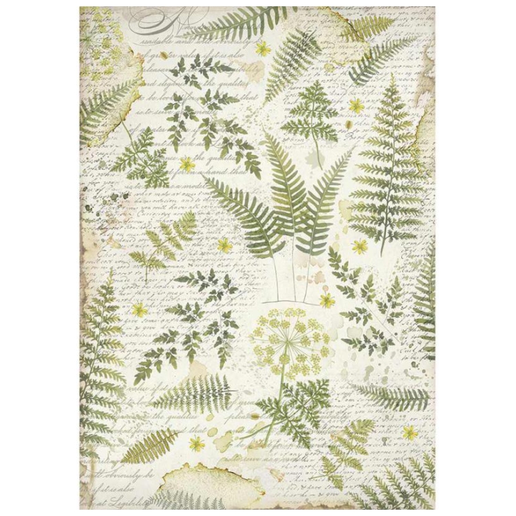 DFSA3047 HÂRTIE DE OREZ STAMPERIA DECOUPAGE A3 - DFSA3047 - Imagine 1