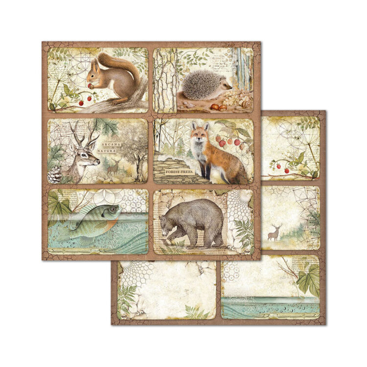 BLOC DE HÂRTIE FORESTIERĂ STAMPERIA 20.3/20.3 CM - SBBS06 - Imagine 9