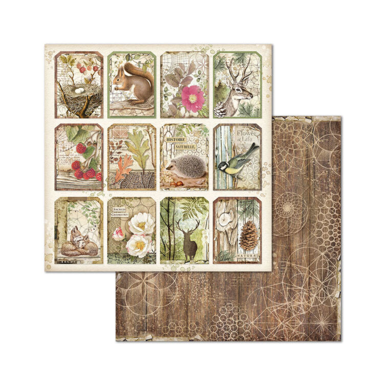 BLOC DE HÂRTIE FORESTIERĂ STAMPERIA 20.3/20.3 CM - SBBS06 - Imagine 12