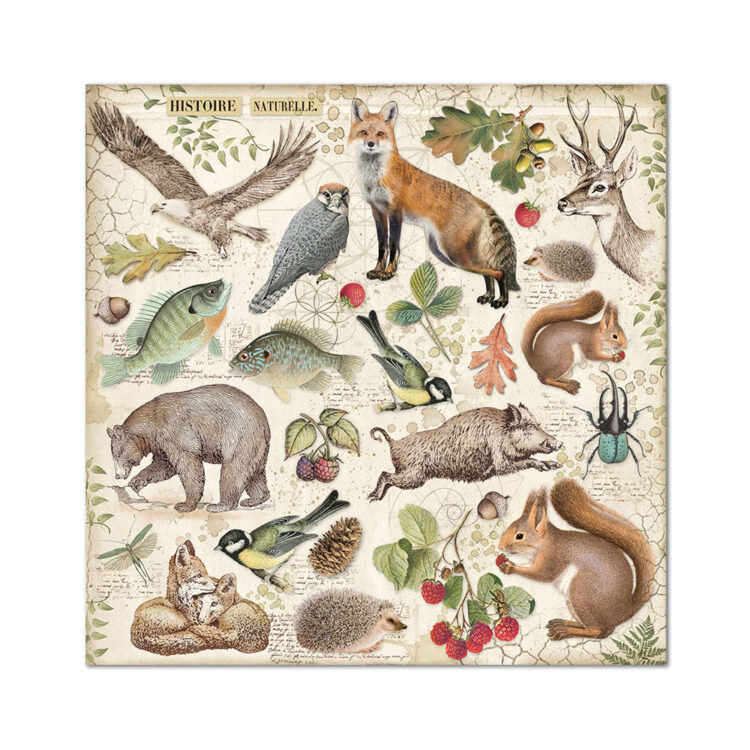 BLOC DE HÂRTIE FORESTIERĂ STAMPERIA 20.3/20.3 CM - SBBS06 - Imagine 13