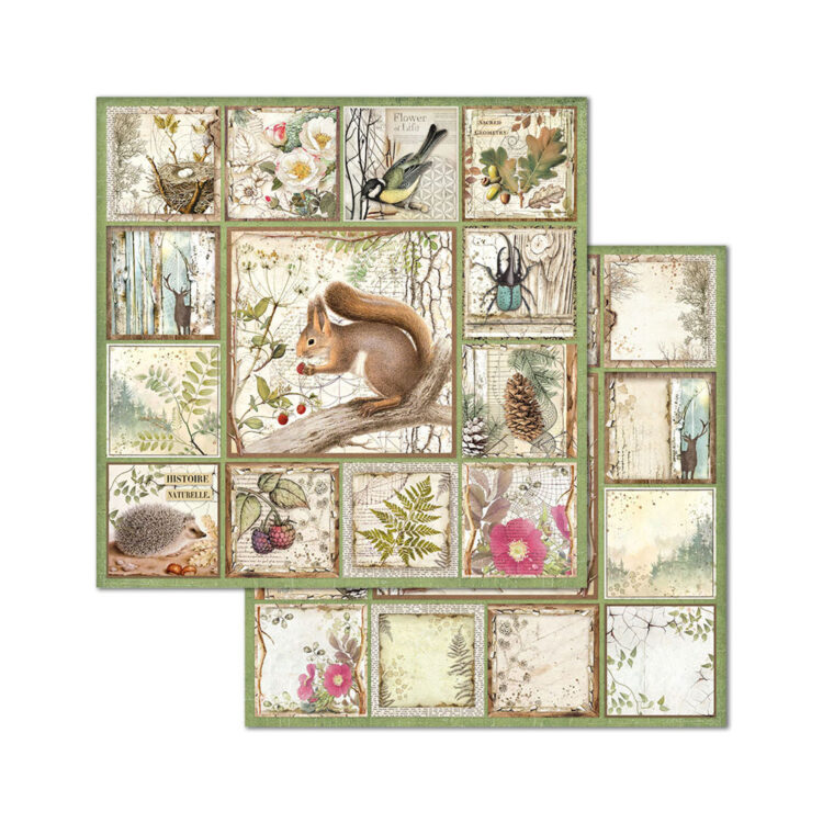 BLOC DE HÂRTIE FORESTIERĂ STAMPERIA 20.3/20.3 CM - SBBS06 - Imagine 11