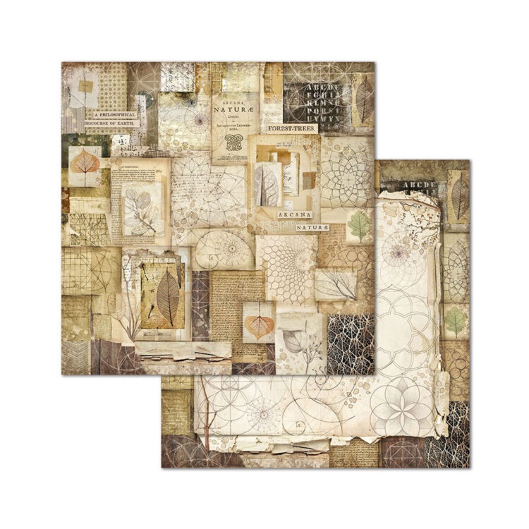 BLOC DE HÂRTIE FORESTIERĂ STAMPERIA 20.3/20.3 CM - SBBS06 - Imagine 8
