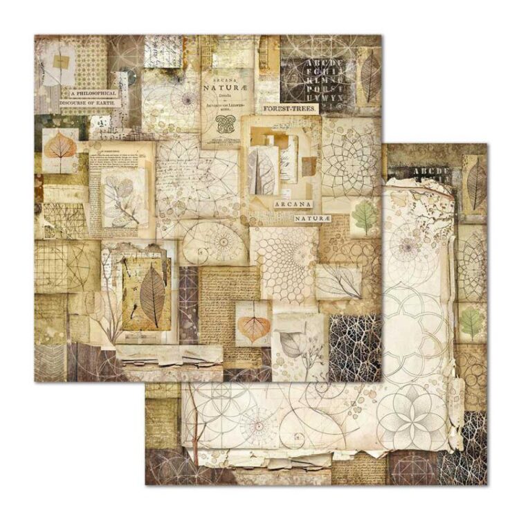 STAMPERIA FOREST DESIGNER CARTON 30.5/30.5 CM - SBB659 - Imagine 1