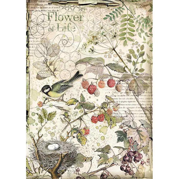 full_DFSA4459_1 HÂRTIE DE DECOUPAGE DE FLORI ȘI FRUCTE STAMPERIA A4 - DFSA4459 - Imagine 1