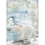 STAMPERIA ARCTIC ANTARCTIC DECOUPAGE PAPER A4 - DFSA4478