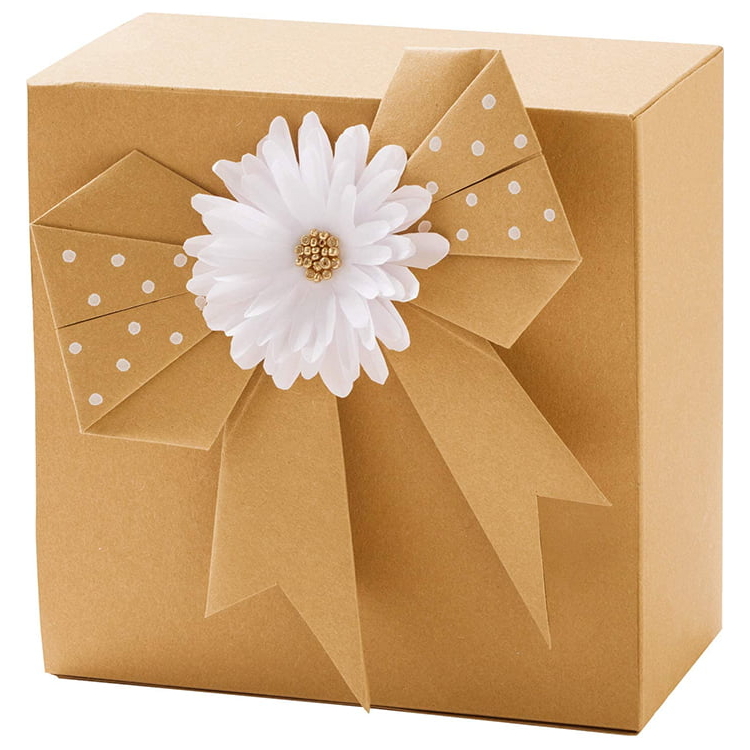 FOLIA CARTON KRAFT 50/70 CM, 230 G - Imagine 3