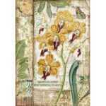 HÂRTIE DE OREZ STAMPERIA DECOUPAGE A4 - DFSA4532