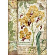 HÂRTIE DE OREZ STAMPERIA DECOUPAGE A4 - DFSA4532