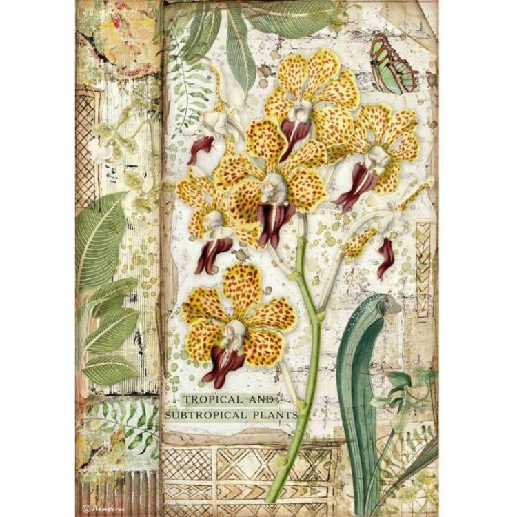 DFSA4532 HÂRTIE DE OREZ STAMPERIA DECOUPAGE A4 - DFSA4532 - Imagine 1
