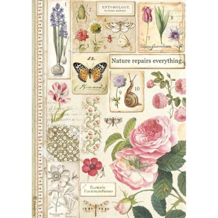 DFSA4623 HÂRTIE DE OREZ STAMPERIA DECOUPAGE A4 - DFSA4623 - Imagine 1