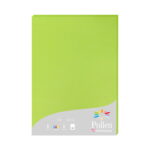 HÂRTIE CLAIREFONTAINE A4 210 G - VERDE INTENS