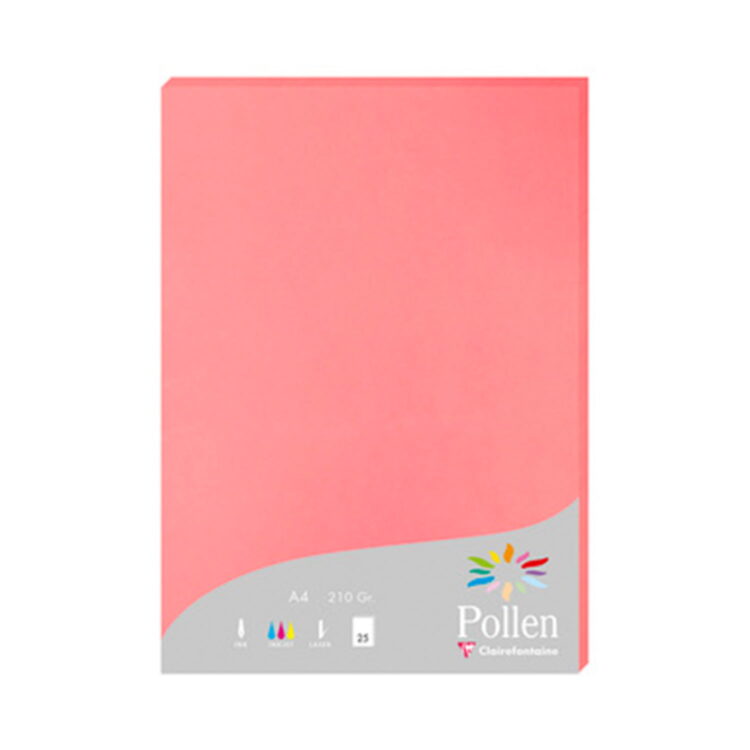 pollen_pink HÂRTIE CLAIREFONTAINE A4 210 G -LYCHEE - Imagine 1