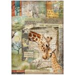 HÂRTIE DE OREZ STAMPERIA SAVANA DECOUPAGE A4 - DFSA4685