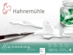 CAIET DE SCHIȚE HAHNEMUHLE HARMONY SATINIERT 30/40CM, 300G, 12L. - Imagine 2