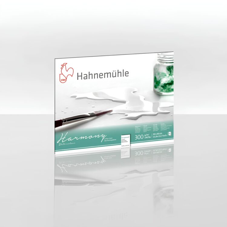 628765 CAIET DE SCHIȚE HAHNEMUHLE HARMONY SATINIERT 30/40CM, 300G, 12L. - Imagine 1