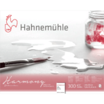 CAIET DE SCHIȚE HAHNEMUHLE HARMONY MAT 24/30CM, 300G, 12L.