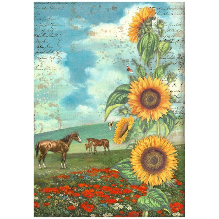 HÂRTIE DE DECOUPAGE DE ARTĂ DE FLOAREA-SOARELUI STAMPERIA 6 BUC. A4 DFSA4XSF - Imagine 2