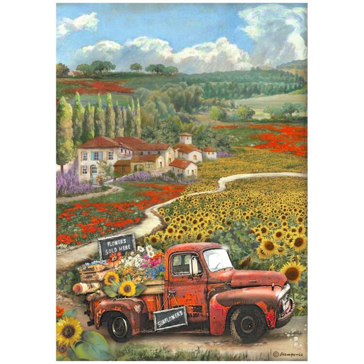 HÂRTIE DE DECOUPAGE DE ARTĂ DE FLOAREA-SOARELUI STAMPERIA 6 BUC. A4 DFSA4XSF - Imagine 4