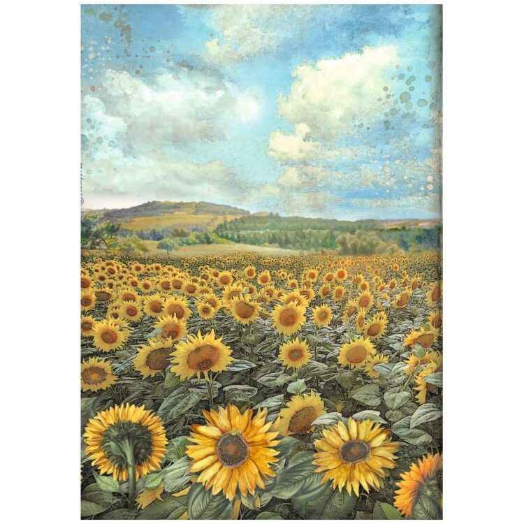 HÂRTIE DE DECOUPAGE DE ARTĂ DE FLOAREA-SOARELUI STAMPERIA 6 BUC. A4 DFSA4XSF - Imagine 5