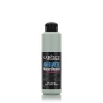 VOPSEA ACRILICĂ CADENCE AMBIANTE 250 ML. - TEI VERDE AW-13