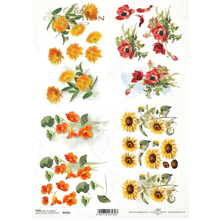 R2250 COLECTIA ITD HARTIE DE OREZ DECOUPAGE A4 - R2250 - Imagine 1