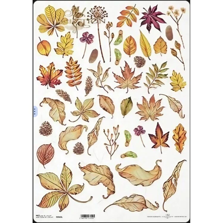 r960l HÂRTIE DE OREZ DECOUPAGE COLECTIA ITD A3 - R960L - Imagine 1