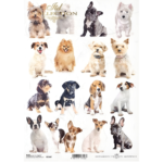 COLECTIA ITD HARTIE DE OREZ DECOUPAGE A4 - R2147
