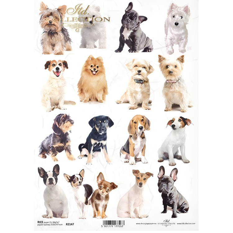 snapedit_1697447135865 COLECTIA ITD HARTIE DE OREZ DECOUPAGE A4 - R2147 - Imagine 1