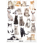HÂRTIE DE OREZ DECOUPAGE COLECTIE ITD A4 - R2146
