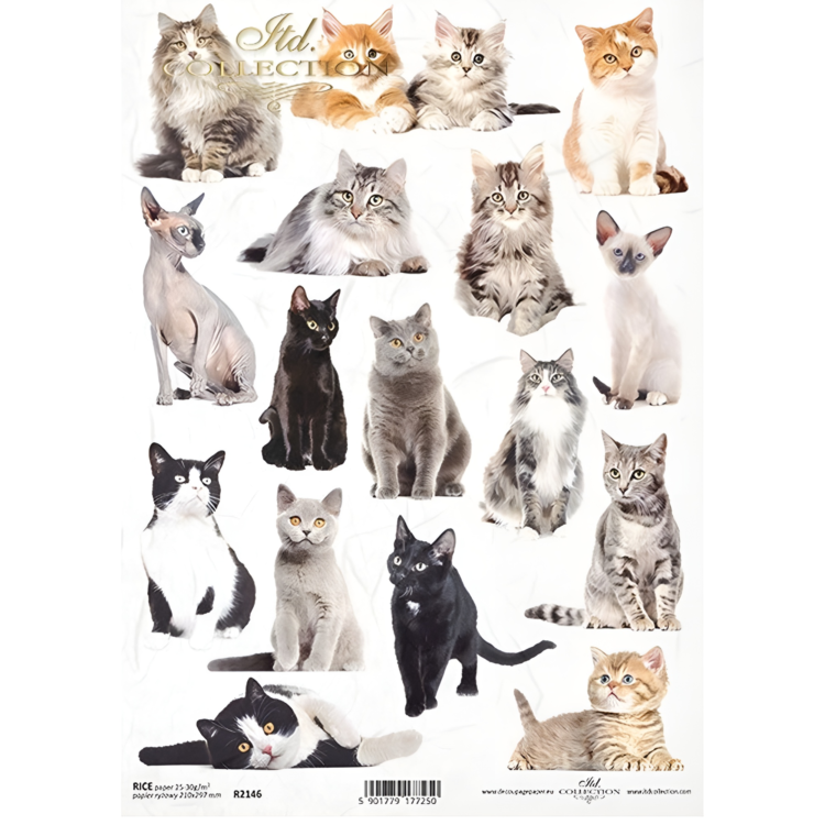 HÂRTIE DE OREZ DECOUPAGE COLECTIE ITD A4 - R2146 - Imagine 1