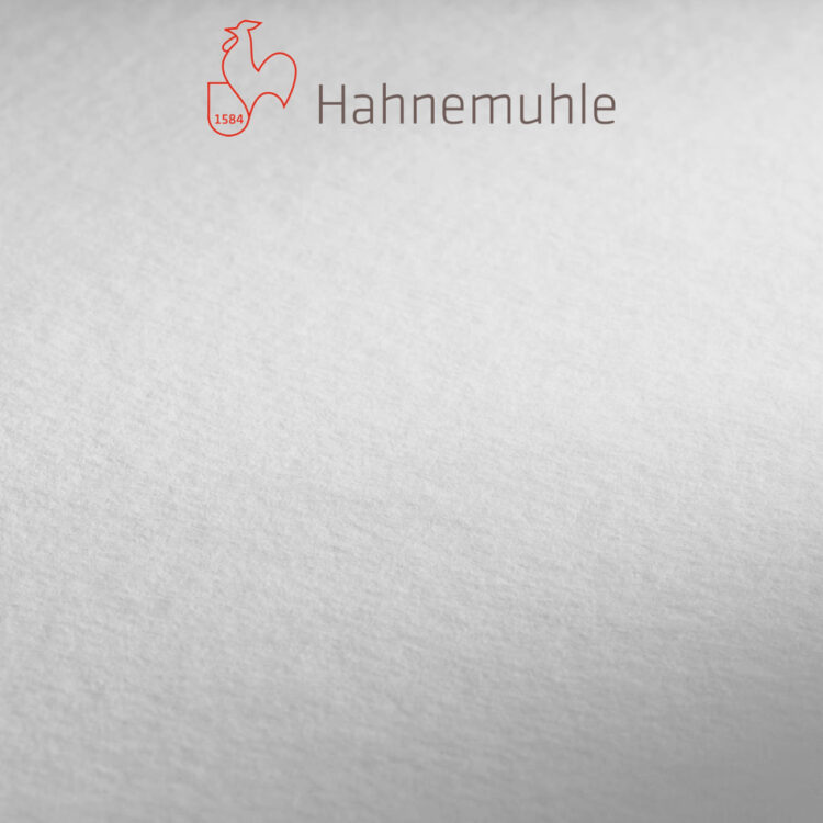 HAHNEMUHLE CHARTER CONCEPT SKETCH & DRAW 220 GSM 100/70CM - Imagine 1