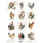 COLECTIA ITD HARTIE DE OREZ DECOUPAGE A4 - R2346