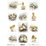 HÂRTIE DE OREZ DECOUPAGE COLECTIA ITD A4 - R2347