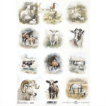 HÂRTIE DE OREZ DECOUPAGE COLECTIE ITD A4 - R2348