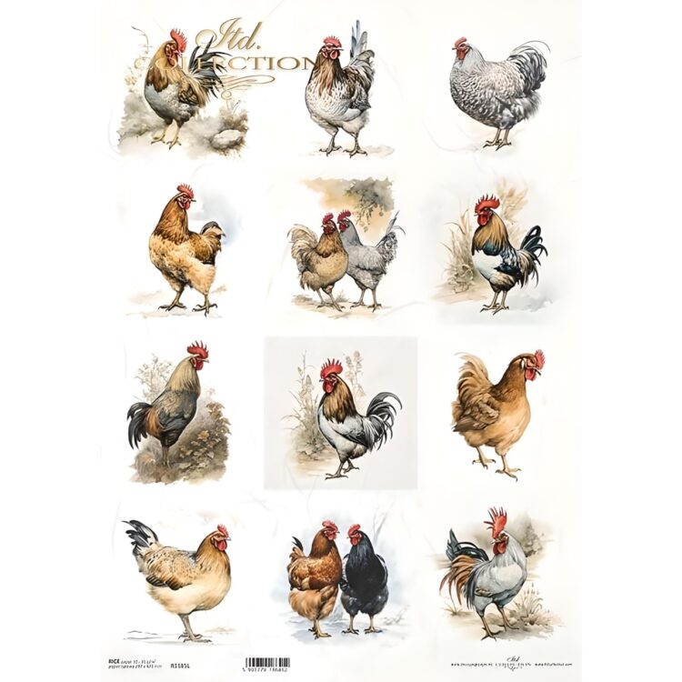 HÂRTIE DE OREZ DECOUPAGE COLECTIE ITD A3 - R1185L - Imagine 1
