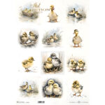 HÂRTIE DE OREZ DECOUPAGE COLECTIA ITD A3 - R1186L